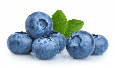 blueberry isolated on white background